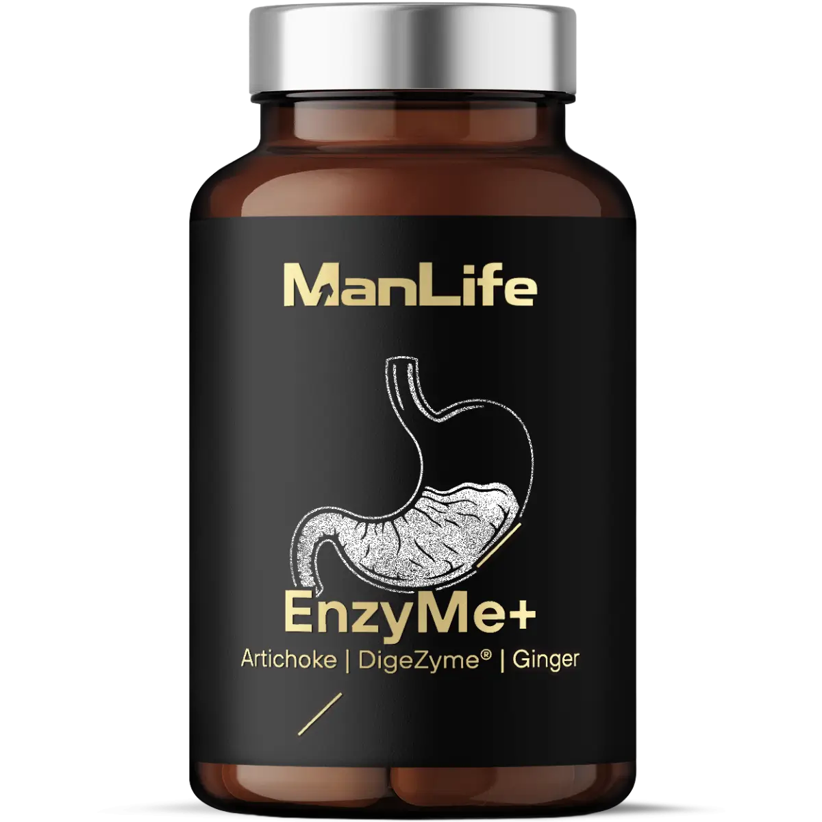 EnzyMe+