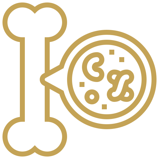 Ikona kości z lupą pokazującą bakterie, symbolizująca zdrowie kości i wsparcie mikrobioty dla układu kostnego.